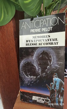Mémoires d un epouvantail blessé au combat Pierre Pelot